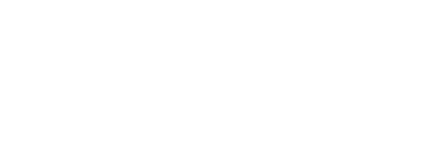 Geneva Peace Forum
