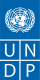 United Nations Department of Peace Operations (UNDPO)
