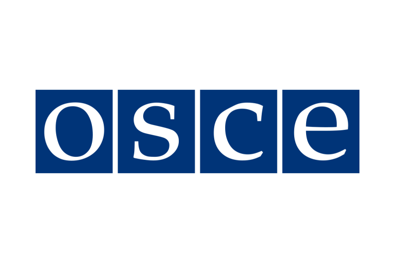 Organisation for Security and Co-operation in Europe (OSCE)