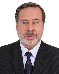 Gustavo  Gallon Giraldo
